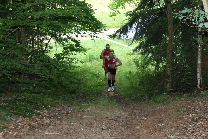 SingleTrail
