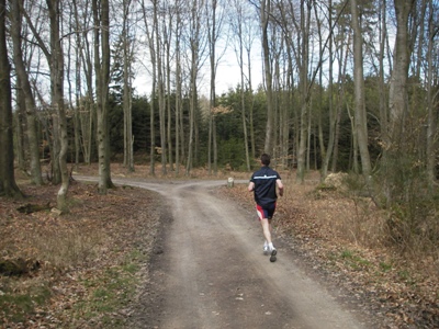 km 11