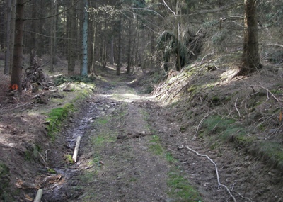Hohlweg