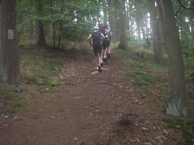 SingleTrail