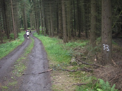 km12,5