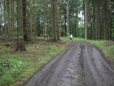 km12,5