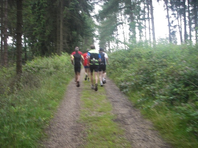 km15,5
